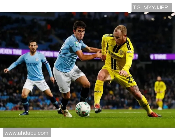 英格兰足球冠军联赛历史发展与未来展望解析