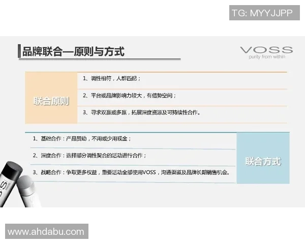打造全方位品牌影响力的营销策划策略与实施路径探析