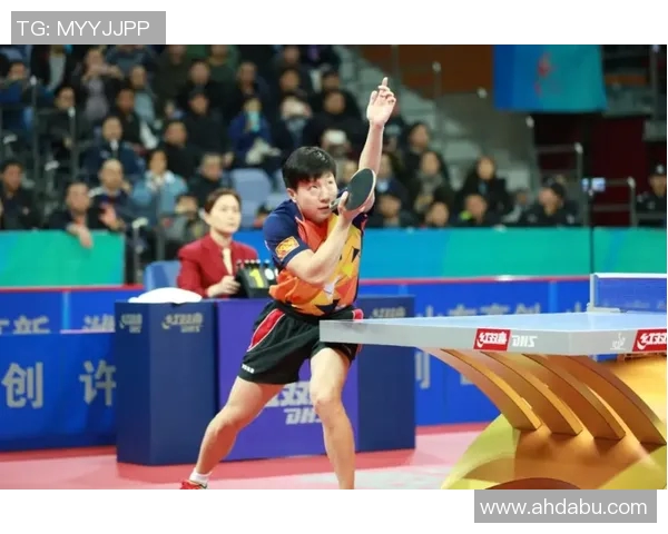 乒乓球运动发展历程与技术创新对全球体育文化的深远影响分析