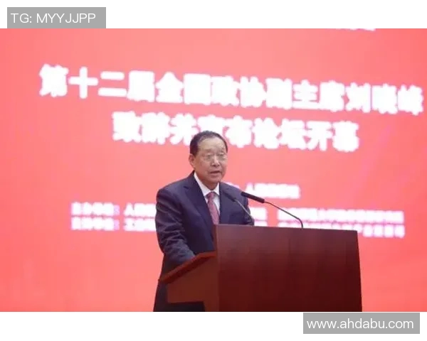 新时代中国政治发展战略与全球治理角色的动态演变分析