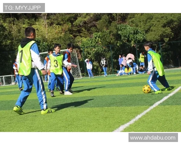 巴西足球甲级联赛：激情四溢的绿茵场，挑战与荣耀的巅峰对决